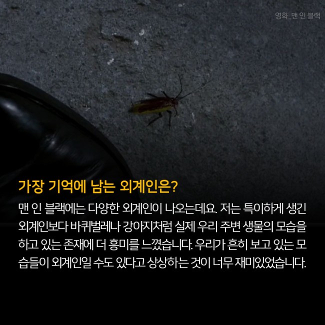 IBS 제공